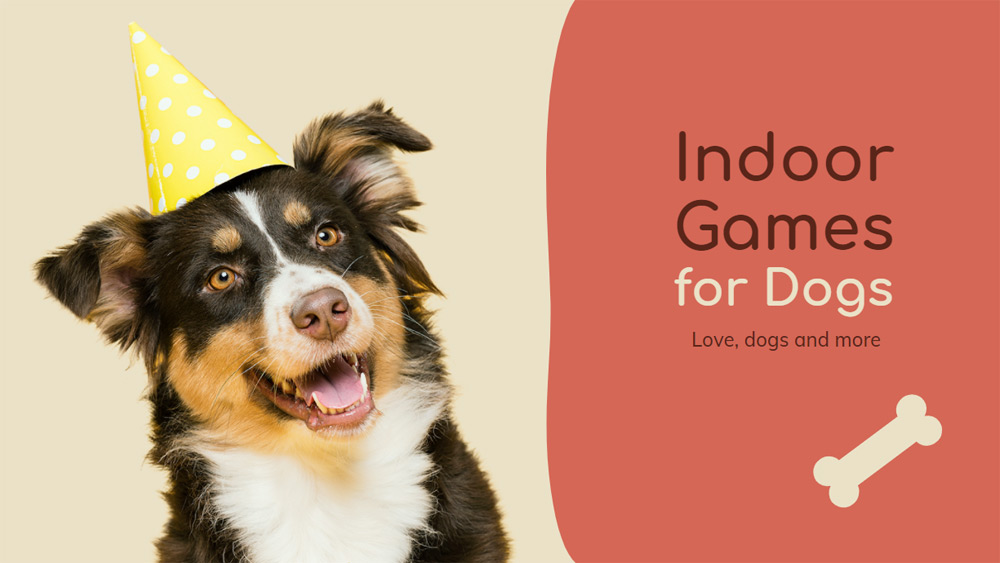 Indoor Games for Dogs