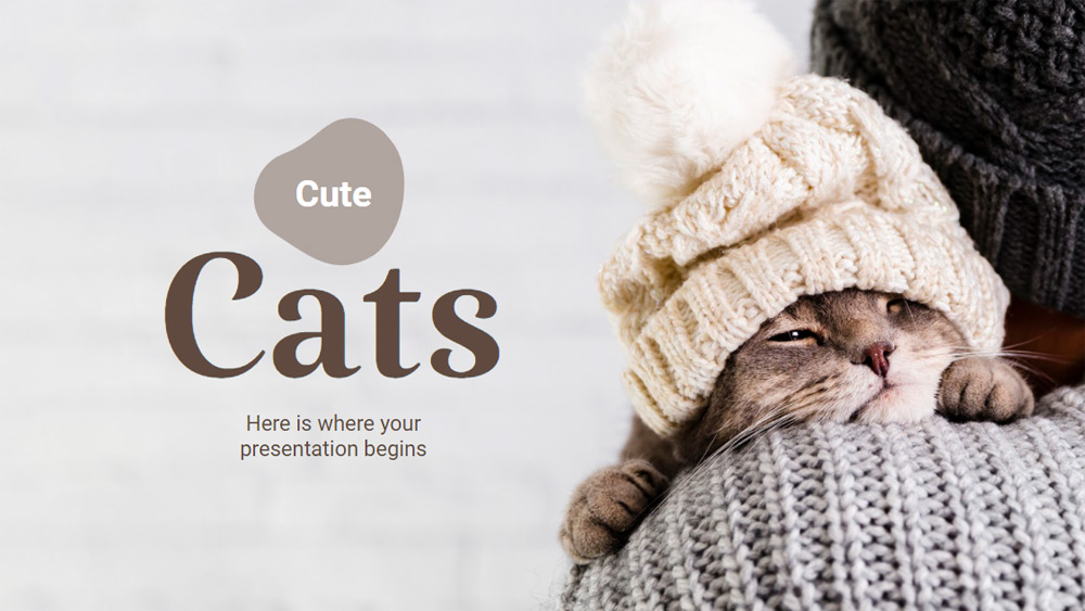Cute Cats