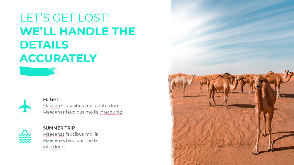 Organized Group Tours