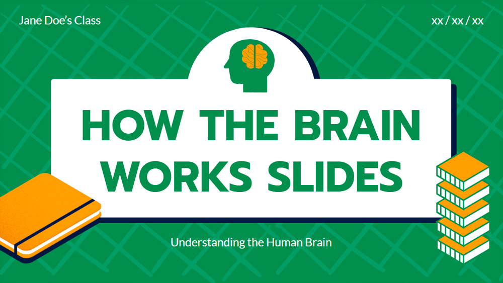 Brain Function