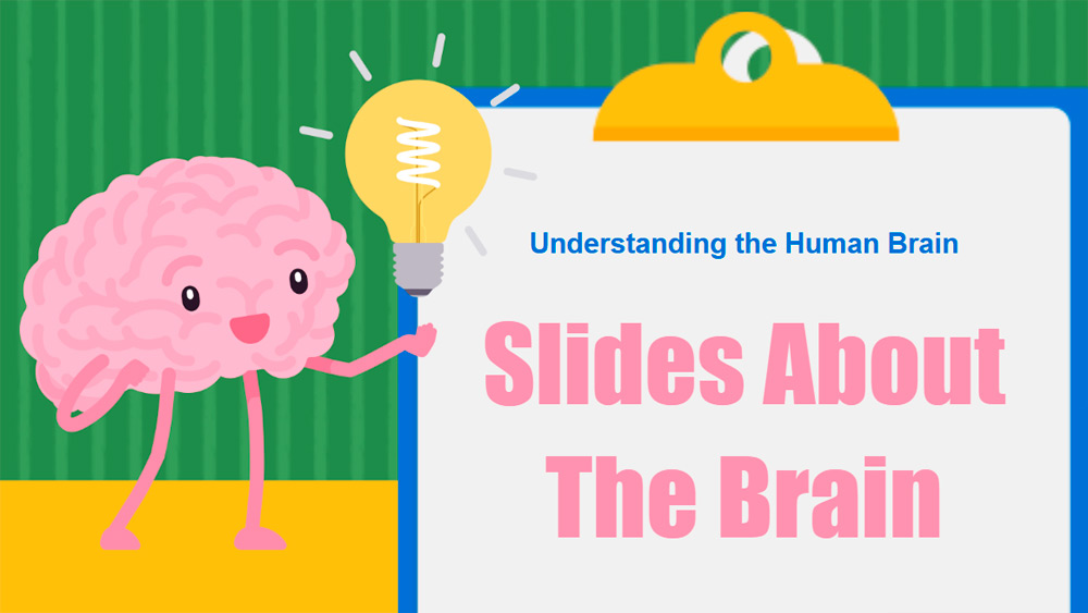 Brain Presentation Slides